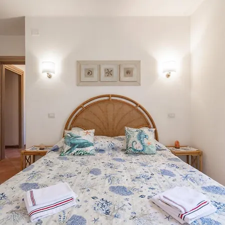 D * קוסטה ריי