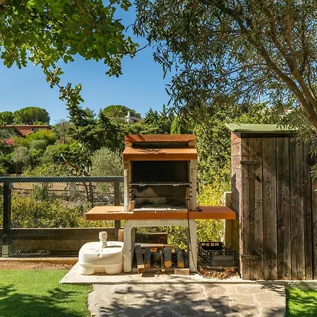 D * קוסטה ריי